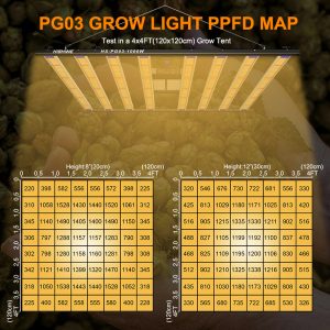 The Importance of Indoor Lighting for Plant Growth: An Introduction to LED Grow Lights插图