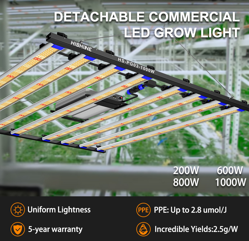 Briefly describe the advantages of LED plant lights插图