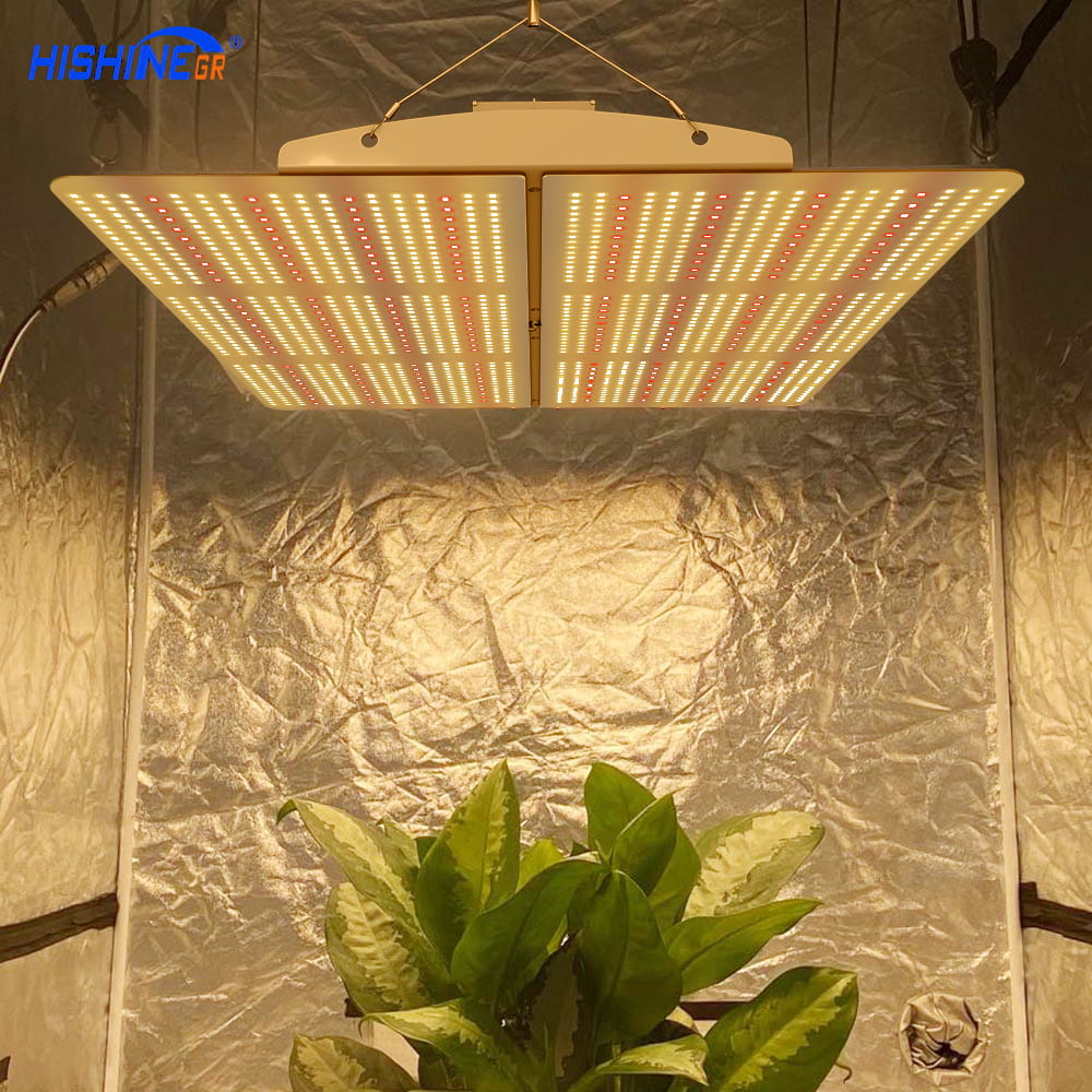Revealed: Why can LED lighting replace “sunlight” to regulate plant growth?插图3