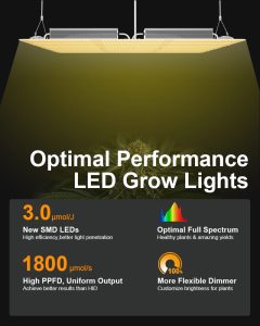 Illuminating Success: Case Studies and Testimonials of Using LED Grow Lights for Indoor Gardening插图