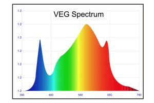 The Science Behind Indoor Plant Lights: Understanding Photosynthesis And Light Spectrum插图
