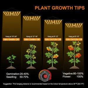 Choosing the Right Type of Growing Lights for Your Indoor Plants插图