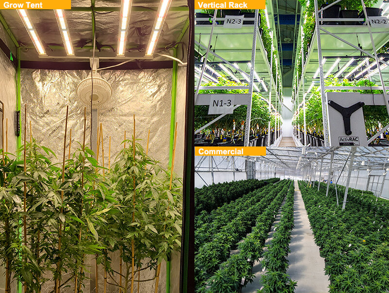 What Are Grow Lights? And The Classification Of Plant Growth Lights.插图