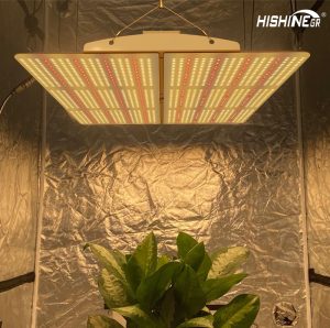 PG02 Hishine Cost-effective LED grow lights插图