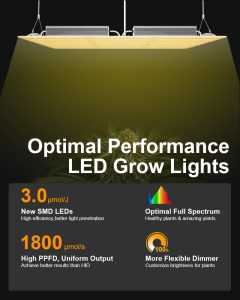 Guide for the selection and use of indoor plant lights插图