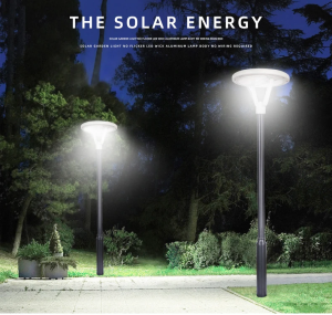 High quality Solar LED Garden Light插图4