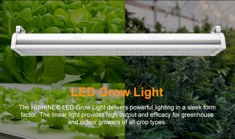 Grow Light