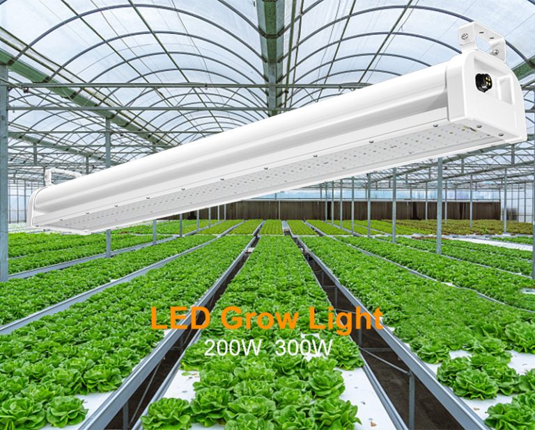 Led Grow Light