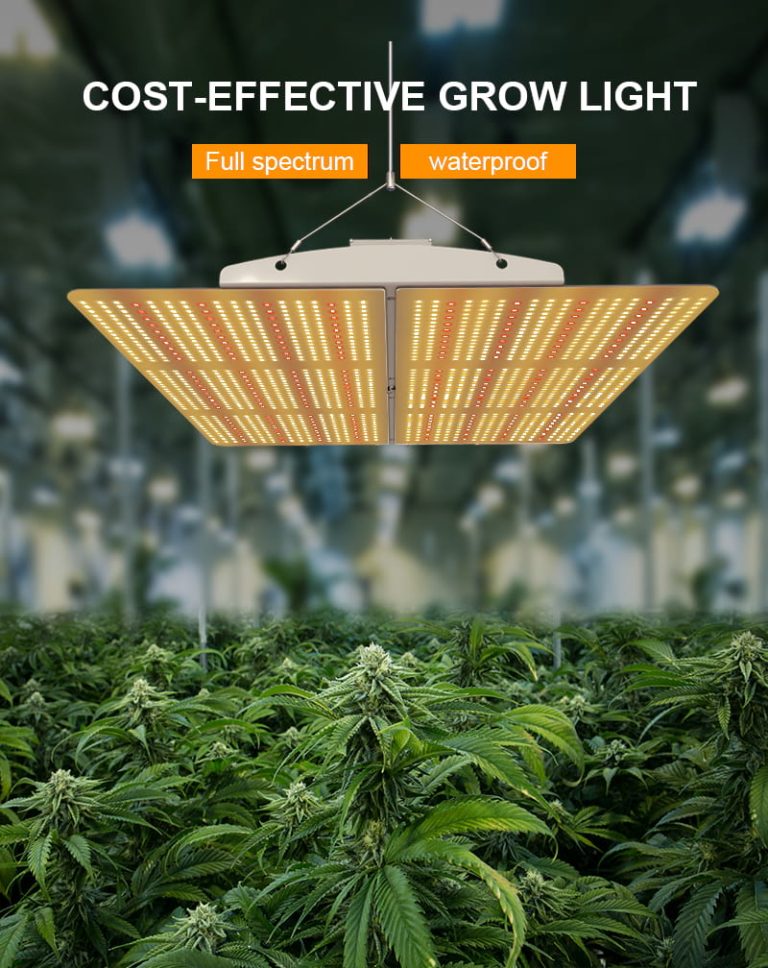 PG02 600W LED Grow Light