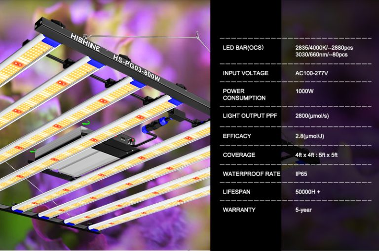 The latest 1000w LED plant light-5x5 feet full spectrum plant gro